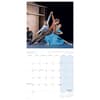 image Royal Ballet 2025 Wall Calendar Second Alternate Image width=&quot;1000&quot; height=&quot;1000&quot;