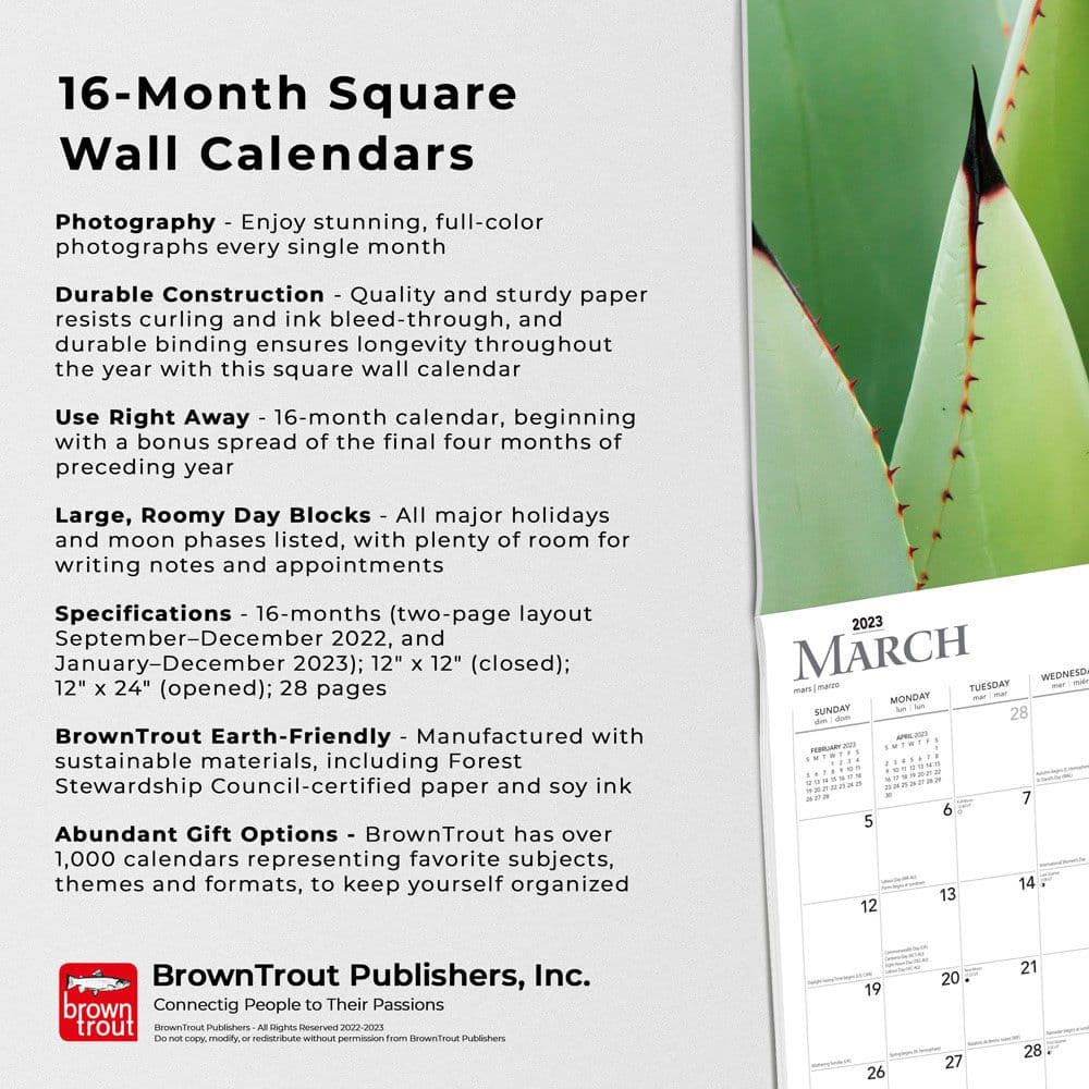 Succulents 2023 Wall - Calendars.com