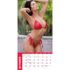 image Babes 2025 Wall Calendar Fourth Alternate Image width=&quot;1000&quot; height=&quot;1000&quot;