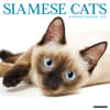 image Siamese Cats 2025 Wall Calendar  Main Image