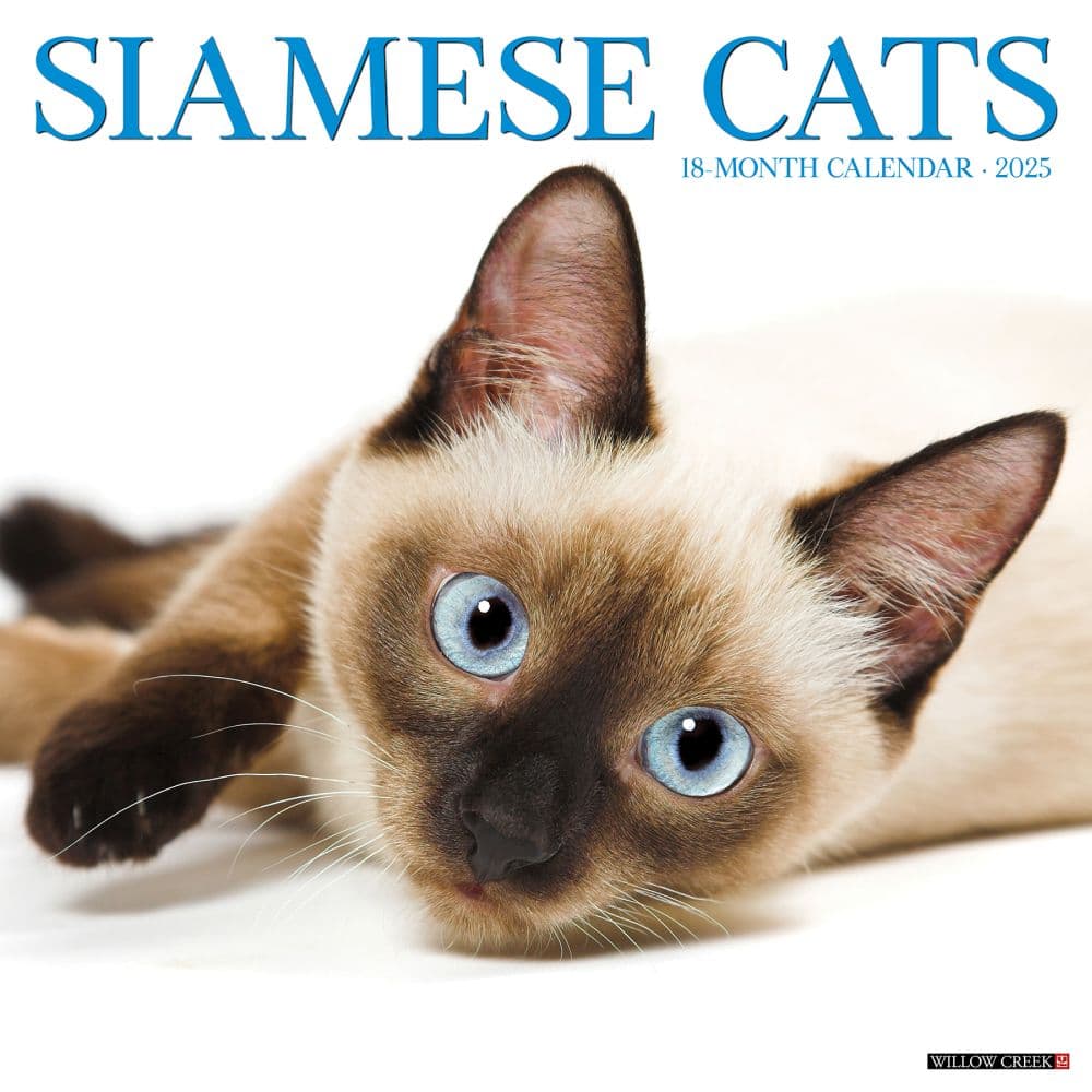 Siamese Cats 2025 Wall Calendar  Main Image
