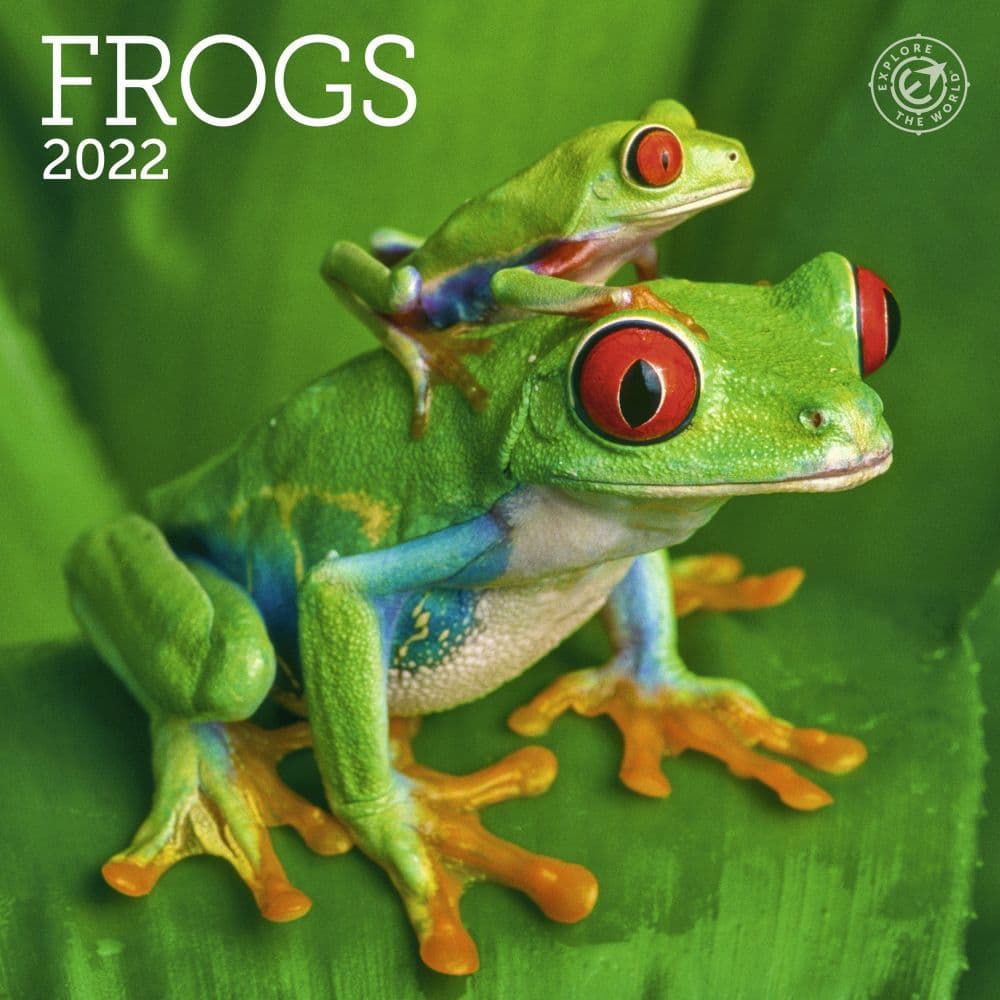 Frogs 2022 Mini Wall Calendar
