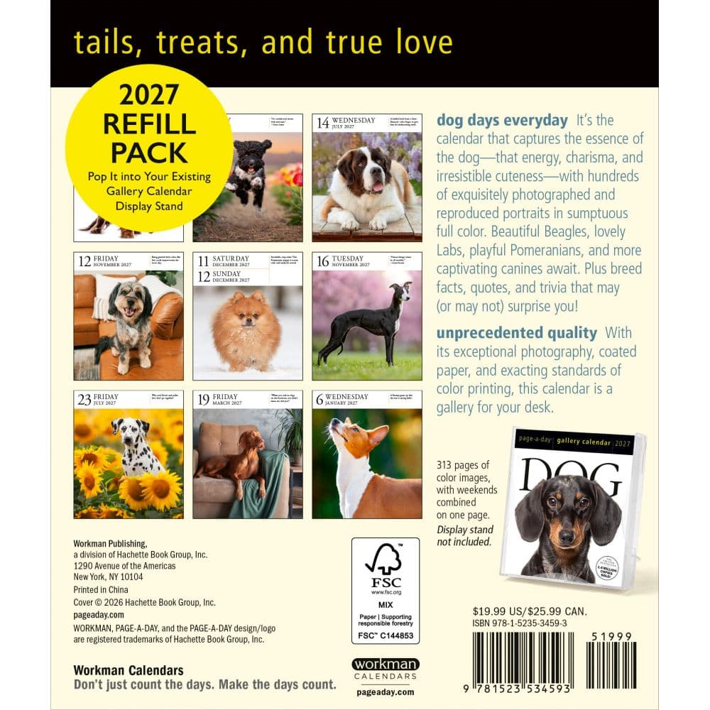 Dog Page-A-Day Gallery Calendar Refill Pack First Alternate Image