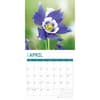 image Flowers 2025 Wall Calendar Second Alternate Image width="1000" height="1000"