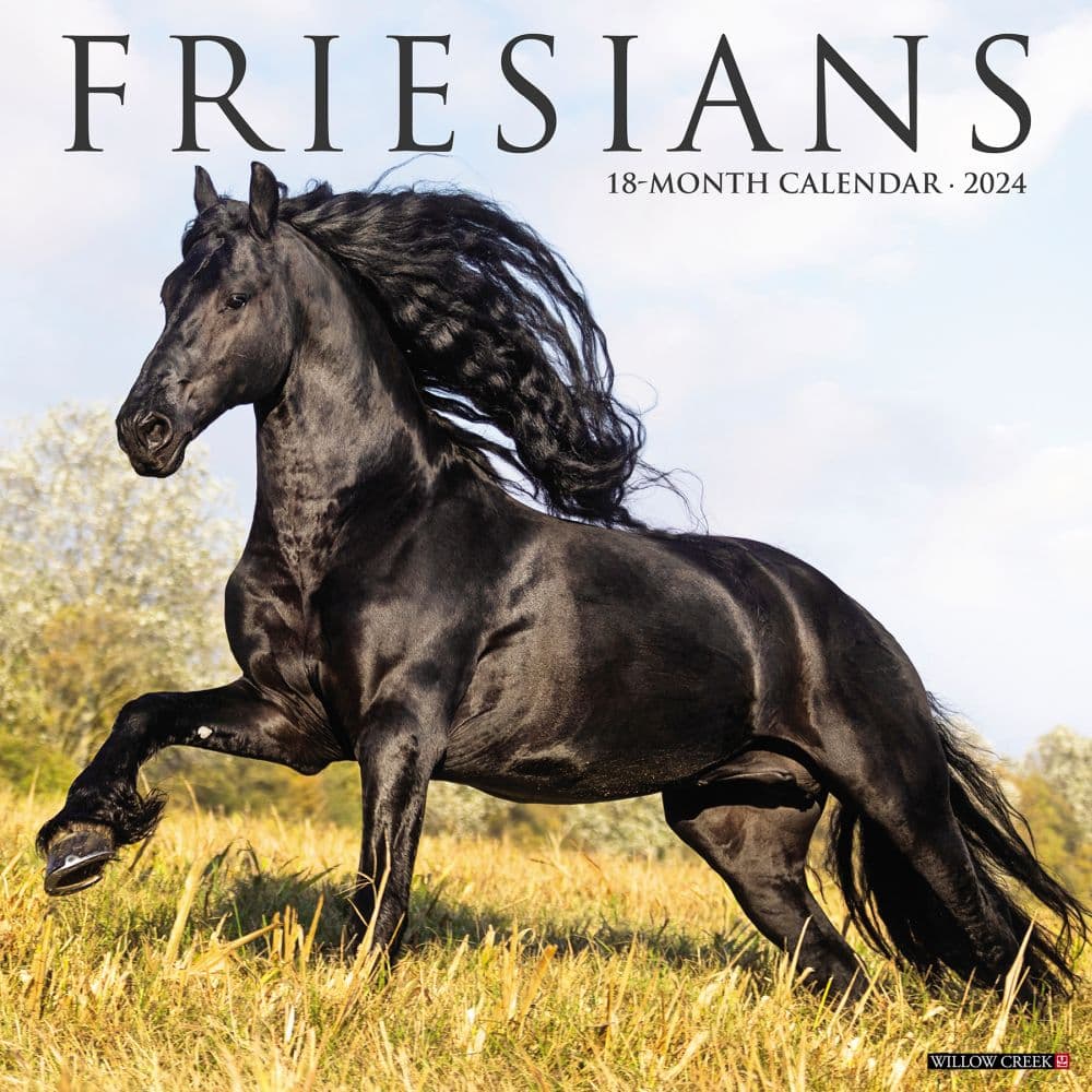 Horses Friesians 2024 Wall Calendar