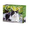 image Cats 2025 Desk Calendar Main Product Image