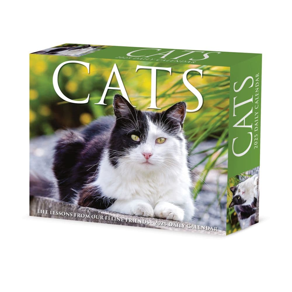 Cats 2025 Desk Calendar Main Product Image