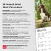 image English Springer Spaniels 2024 Mini Wall Calendar Fourth Alternate Image width=&quot;1000&quot; height=&quot;1000&quot;