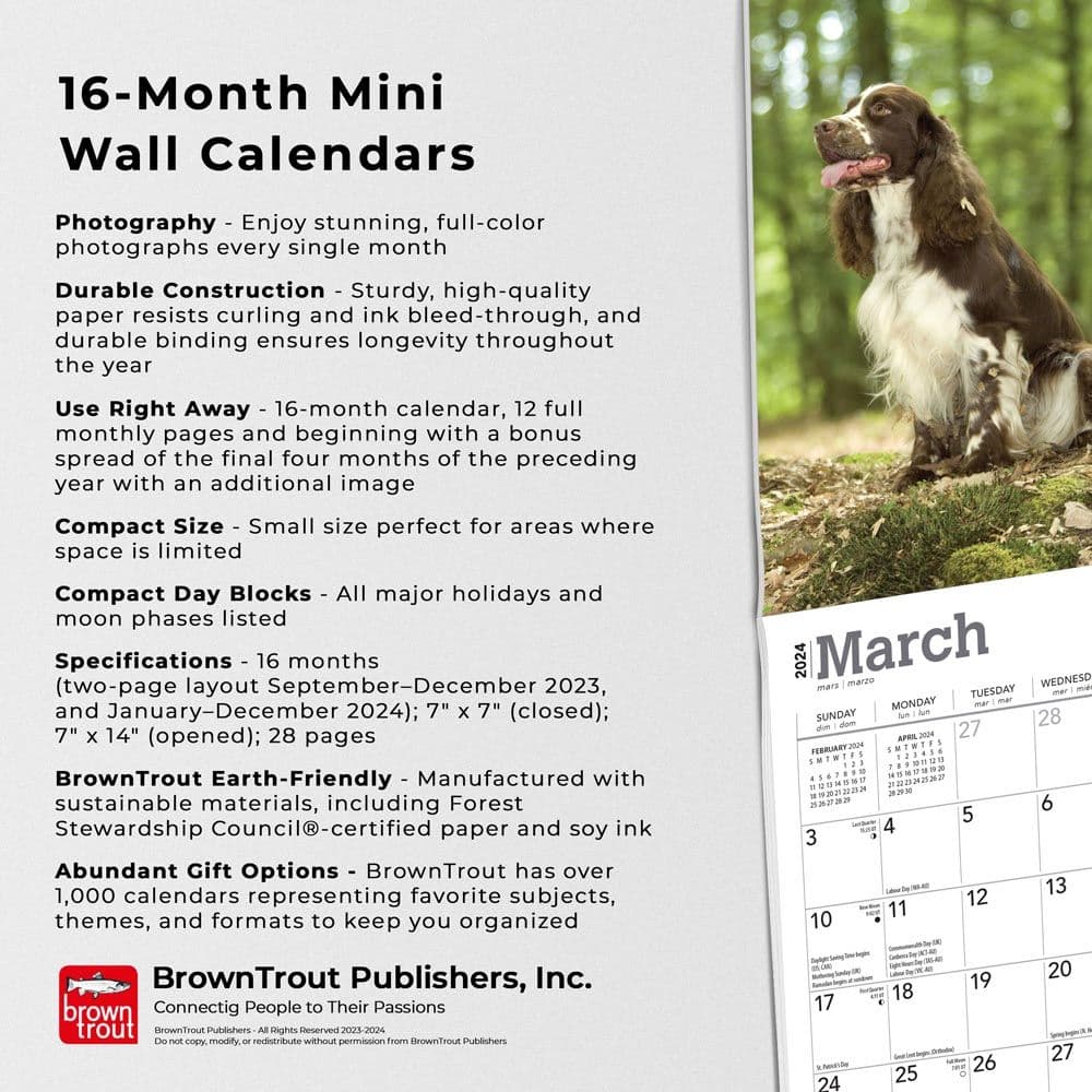 English Springer Spaniels 2024 Mini Wall Calendar Fourth Alternate Image width=&quot;1000&quot; height=&quot;1000&quot;