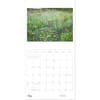 image Rosalind Wise 2027 Wall Calendar Sixth Alternate Image