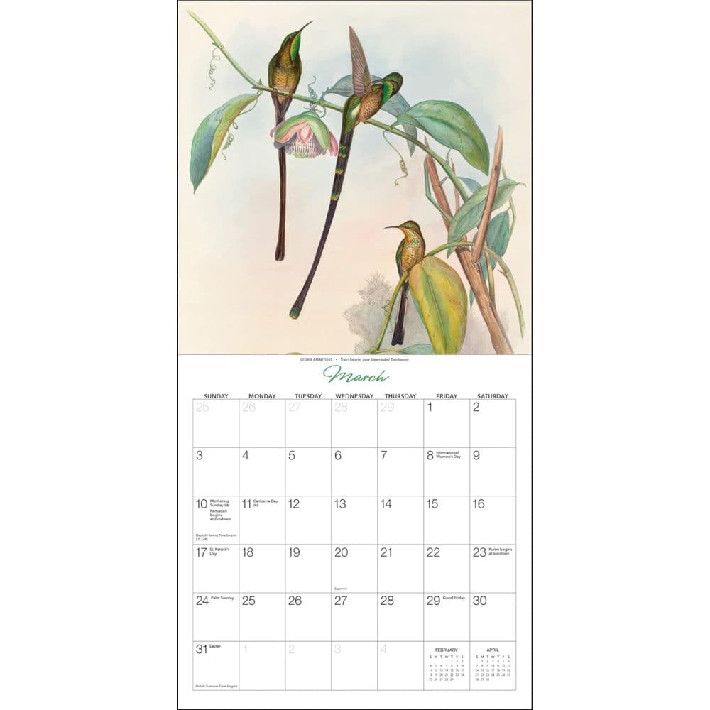 Goulds Hummingbirds 2024 Mini Wall Calendar Second Alternate Image width=&quot;1000&quot; height=&quot;1000&quot;