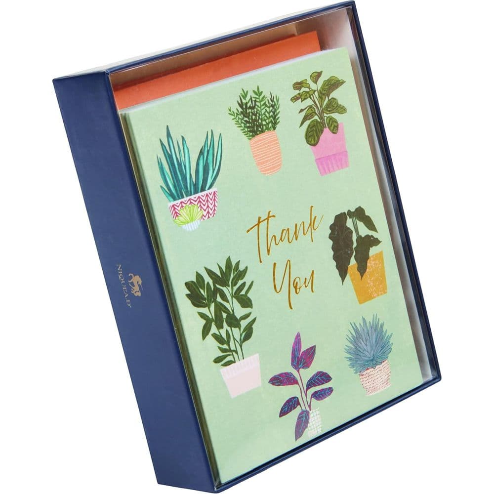 Thank You Houseplants Teal Boxed Note Cards First Alternate Image