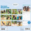image Just German Shepherds 2026 Wall Calendar First Alternate Image