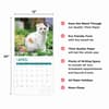 image Calico Cats 2025 Wall Calendar Fourth Alternate Image width=&quot;1000&quot; height=&quot;1000&quot;