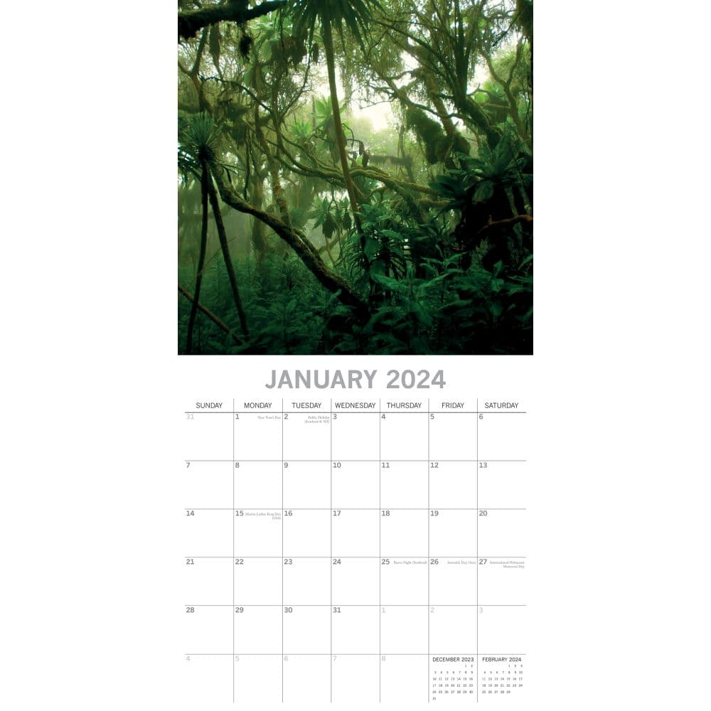 Jungles 2024 Wall Calendar Alternate Image 2