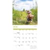 image Teddy Bears 2025 Wall Calendar Third Alternate Image width=&quot;1000&quot; height=&quot;1000&quot;