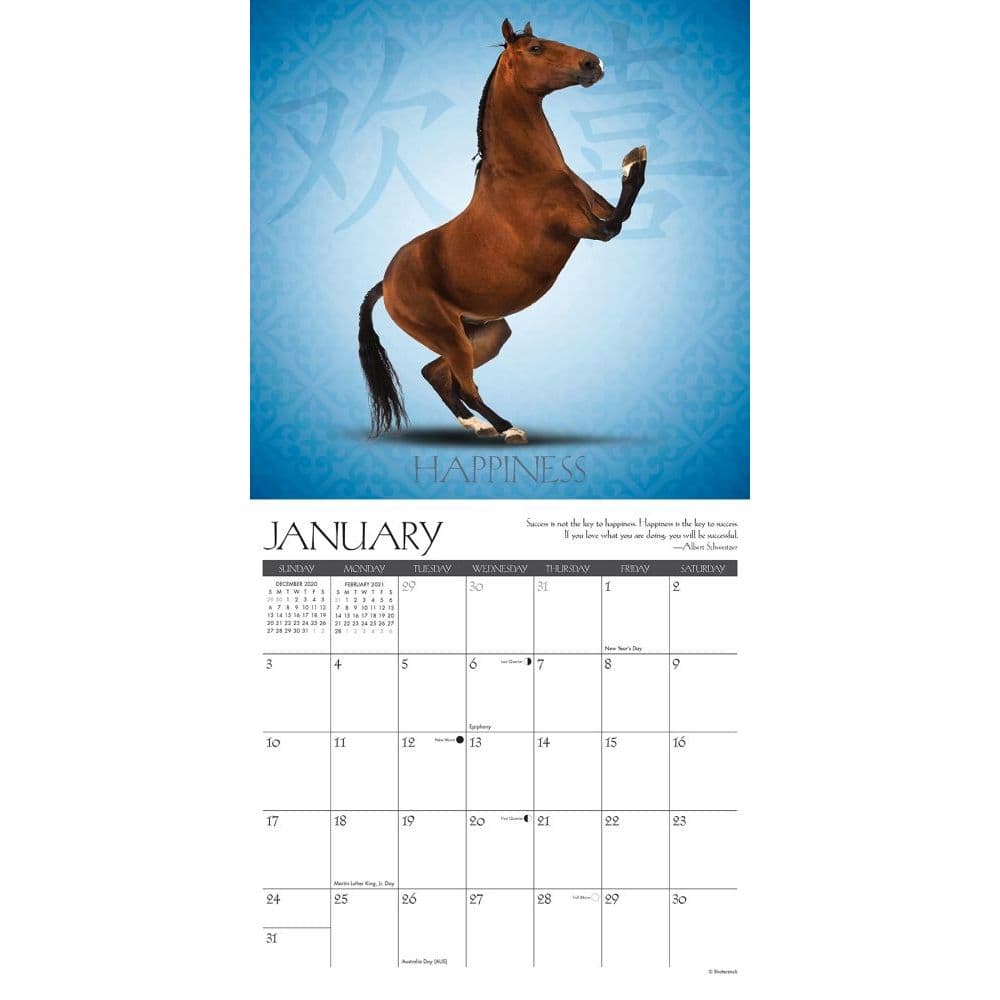 BRAND NEW 2021 WALL CALENDAR 12130 Details about   HORSE YOGA 