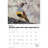 image Hunting Dogs and Upland Birds 2025 Wall Calendar Alt2