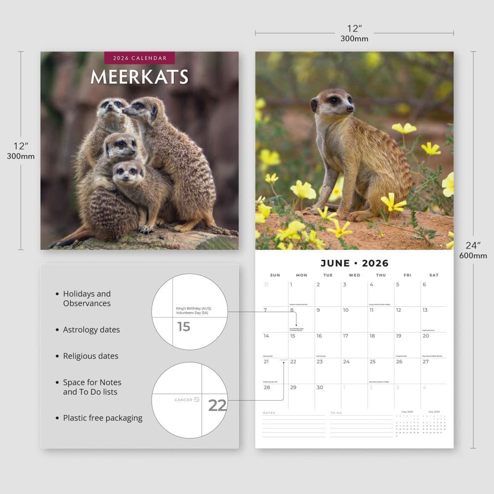 Meerkats 2026 Wall Calendar Fourth Alternate Image