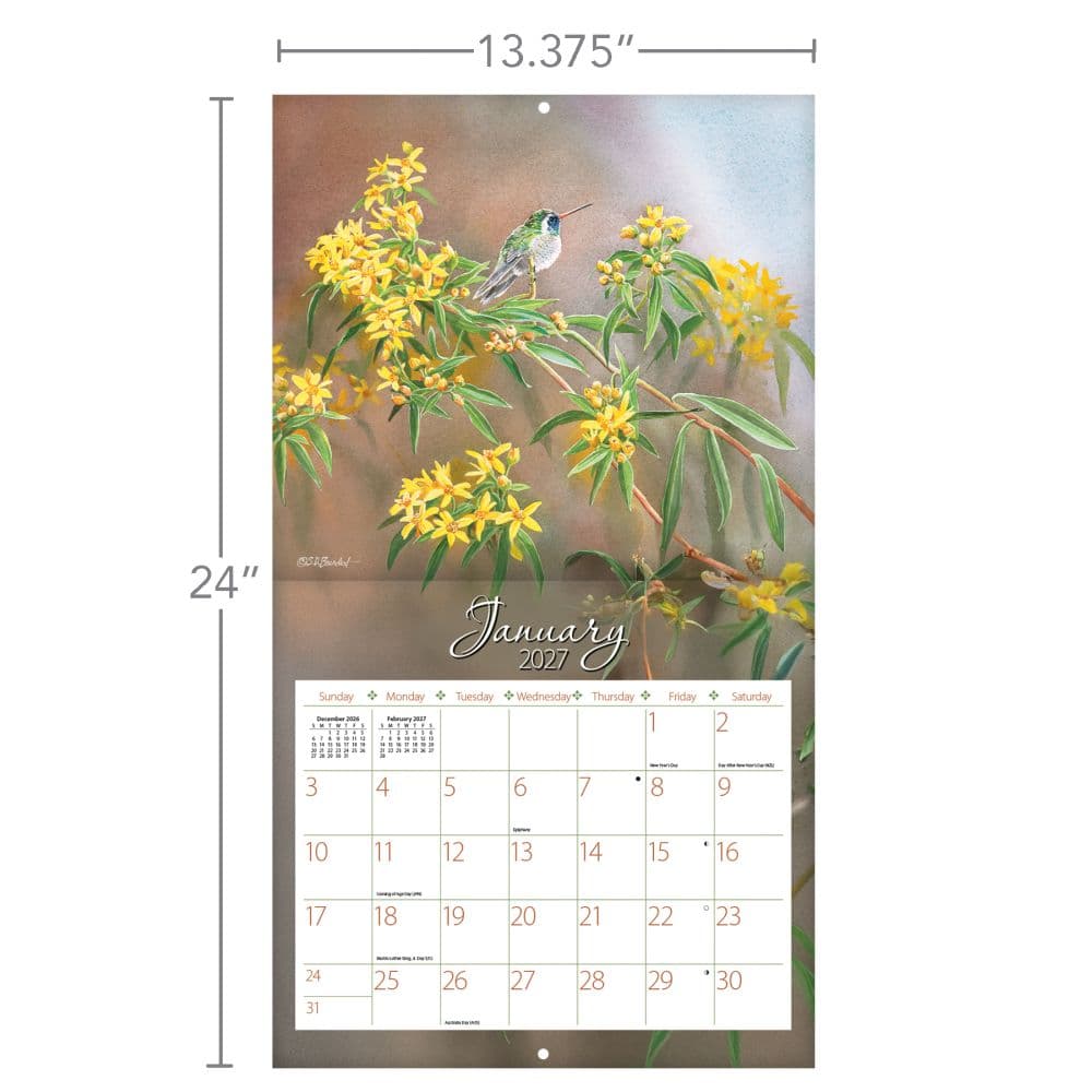 Hummingbirds 2027 Wall Calendar by Susan Bourdet Third Alternate Image