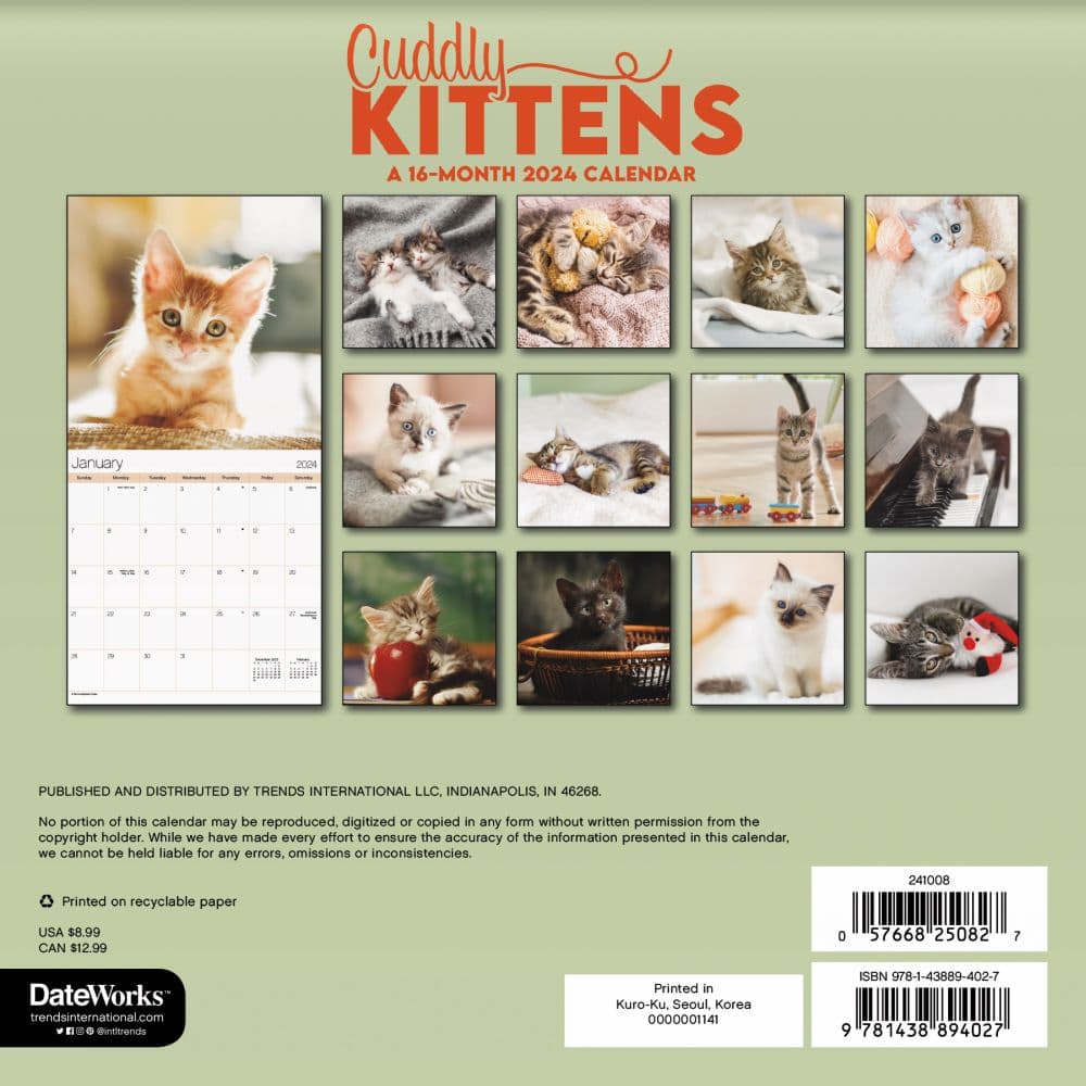 Kittens 2024 Mini Wall Calendar - Calendars.com