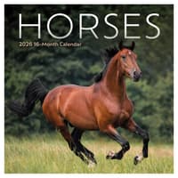 image Horses Special Value 2026 Mini Wall Calendar Main Image
