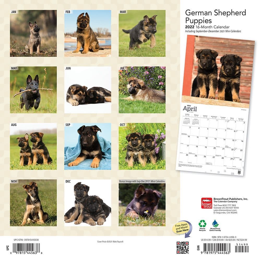 German Shepherd Puppies 2022 Wall Calendar - Calendars.com