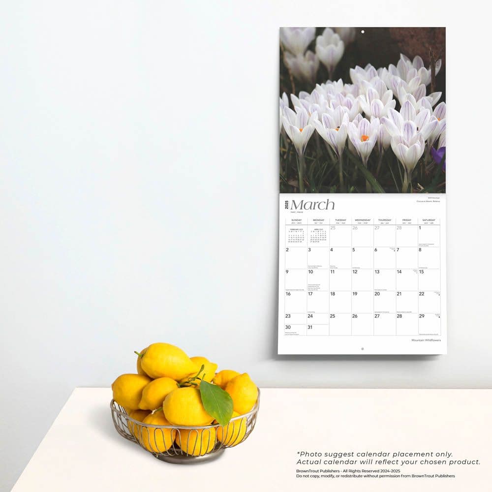 Mountain Wildflowers 2025 Wall Calendar Fourth Alternate Image