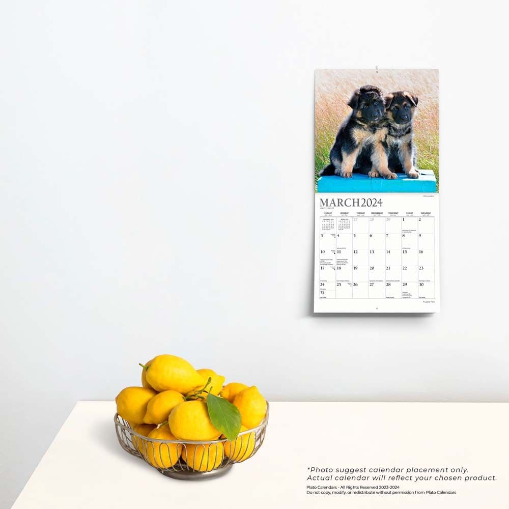 Puppies For the Love 2024 Mini Wall Calendar Third Alternate Image width=&quot;1000&quot; height=&quot;1000&quot;