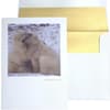 image Photo Polar Bears Valentine's Day Card