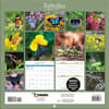 image Butterflies 2027 Mini Wall Calendar