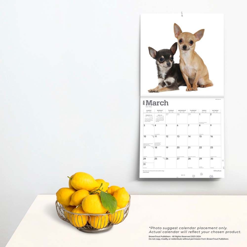 Chihuahuas 2024 Wall Calendar