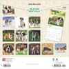 image Saint Bernards 2025 Wall Calendar