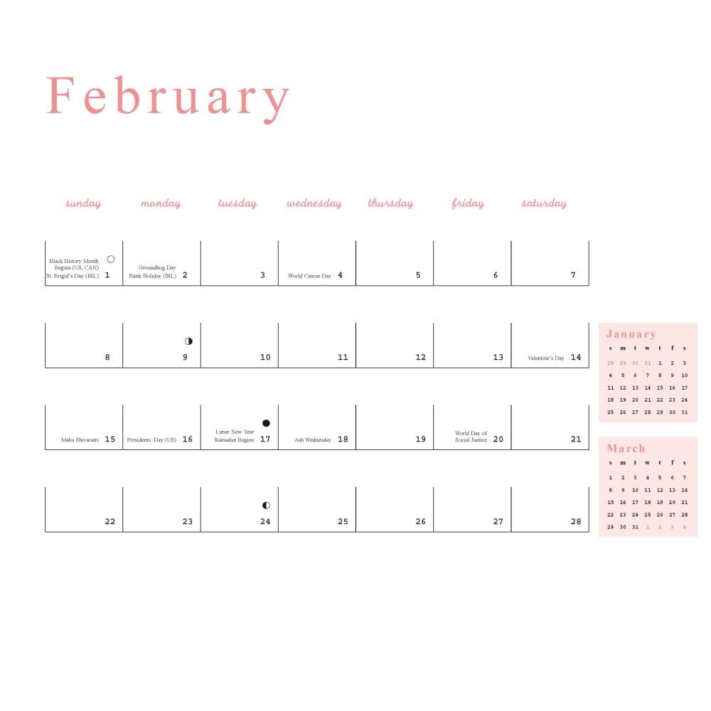 Anne Taintor 2026 Wall Calendar Third Alternate Image