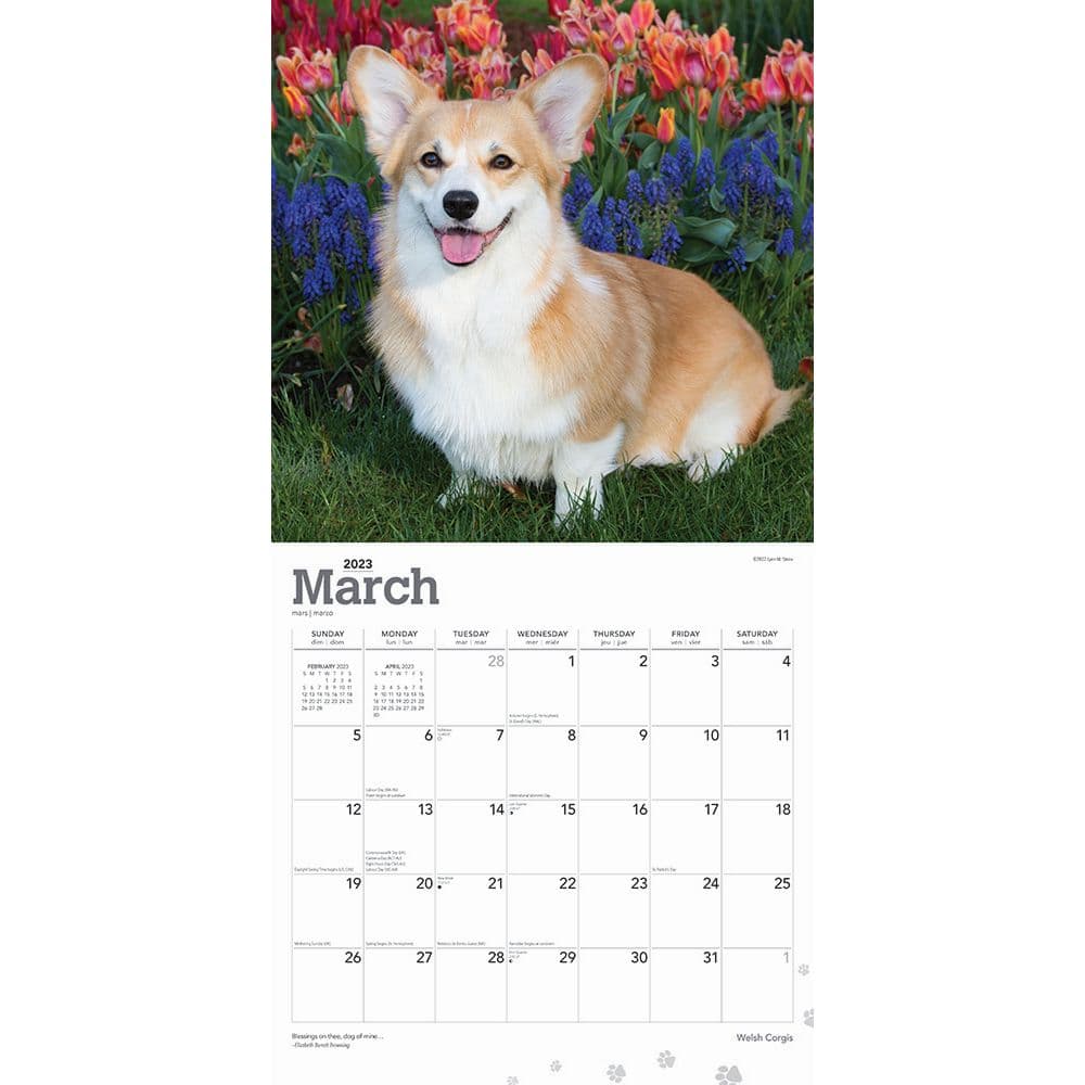 Welsh Corgis 2023 Wall Calendar - Calendars.com