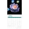 image Jellyfish 2025 Wall Calendar Second Alternate Image width="1000" height="1000"