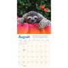 image Sloths 2025 Mini Wall Calendar Third Alternate Image width="1000" height="1000"