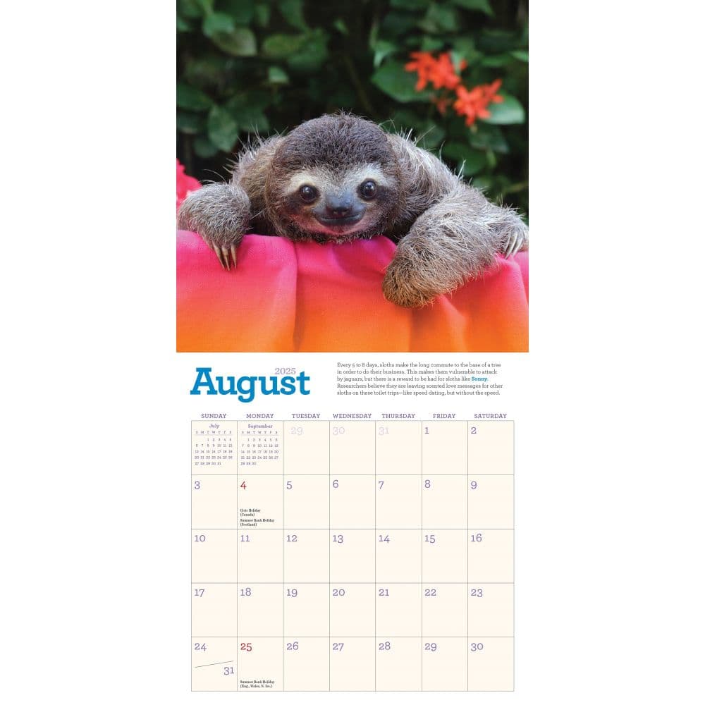 Sloths 2025 Mini Wall Calendar Third Alternate Image width="1000" height="1000"