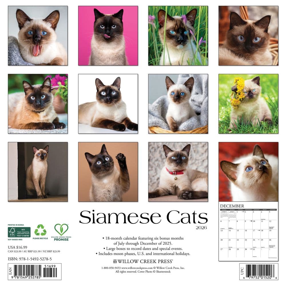Siamese Cats 2026 Wall Calendar First Alternate Image