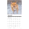 image Hunting Labs 2025 Wall Calendar