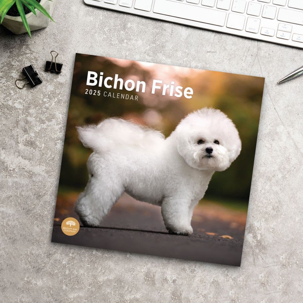 Bichon Frise 2025 Wall Calendar Fourth Alternate Image