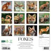 image Foxes 2026 Wall Calendar First Alternate Image