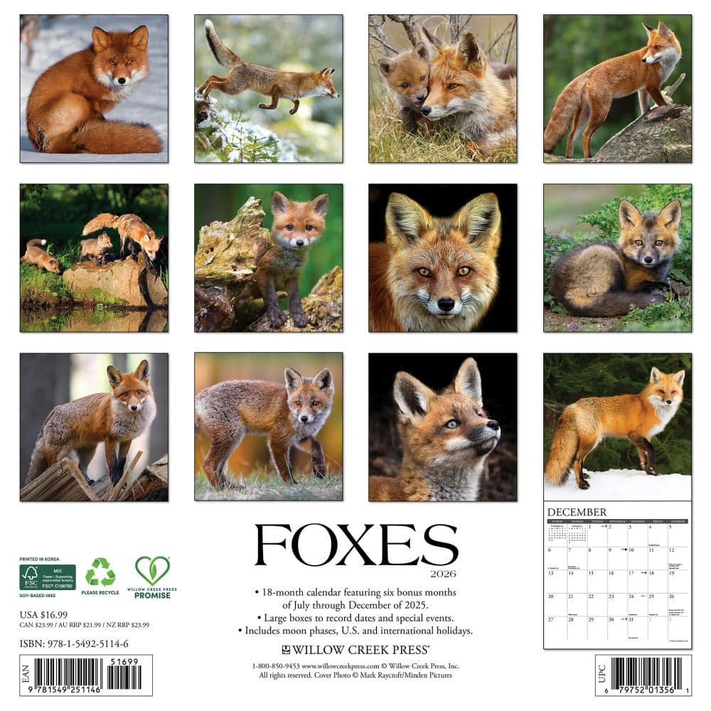 Foxes 2026 Wall Calendar First Alternate Image