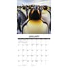 image Animal Selfies 2025 Wall Calendar