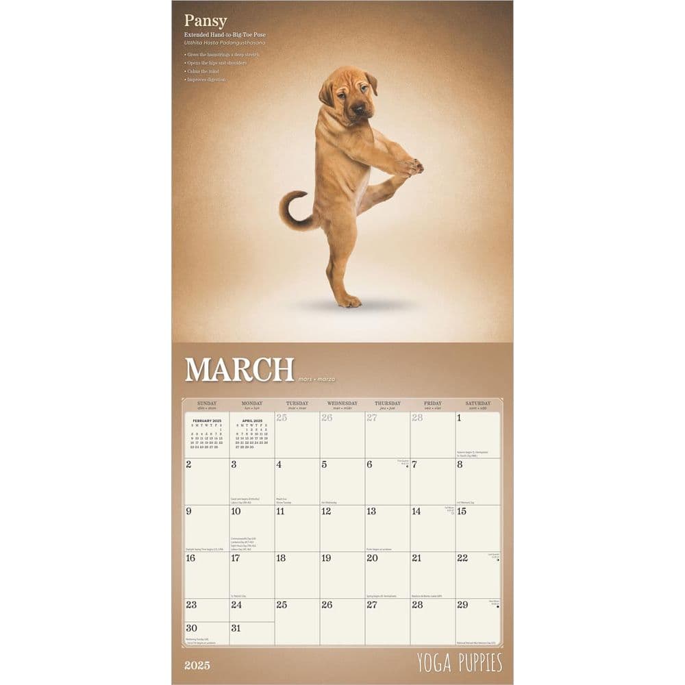 Yoga Puppies Plato 2025 Wall Calendar Second Alternate Image