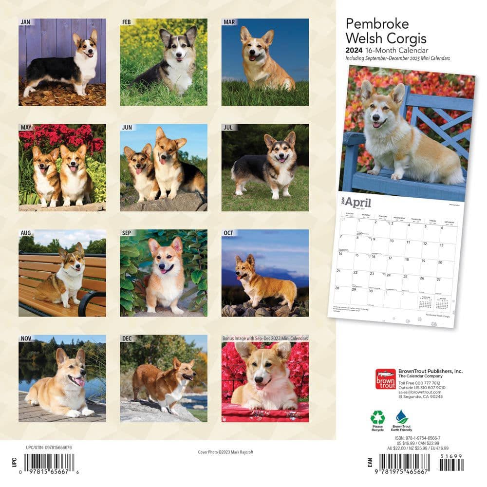 Welsh Pembroke 2024 Wall Calendar