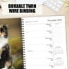 image What Cats Teach Us 2026 Engagement Planner Fourth Alternate Image