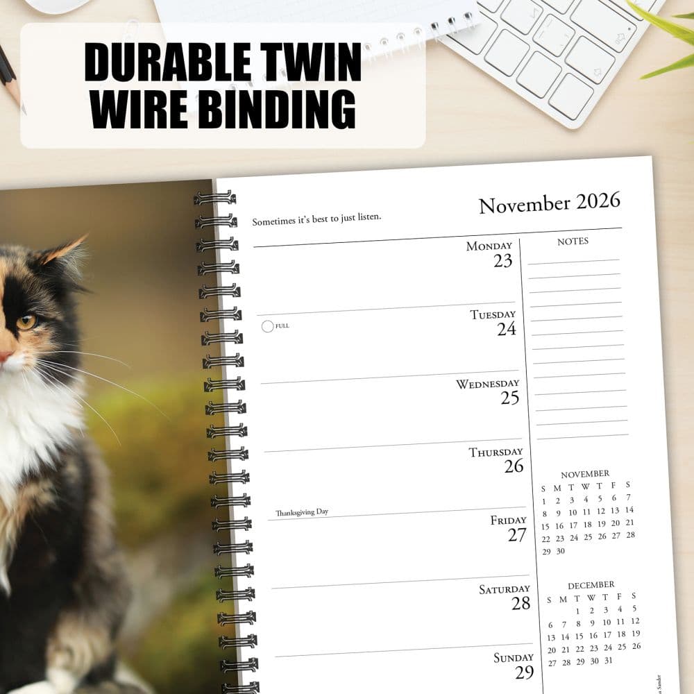 What Cats Teach Us 2026 Engagement Planner Fourth Alternate Image