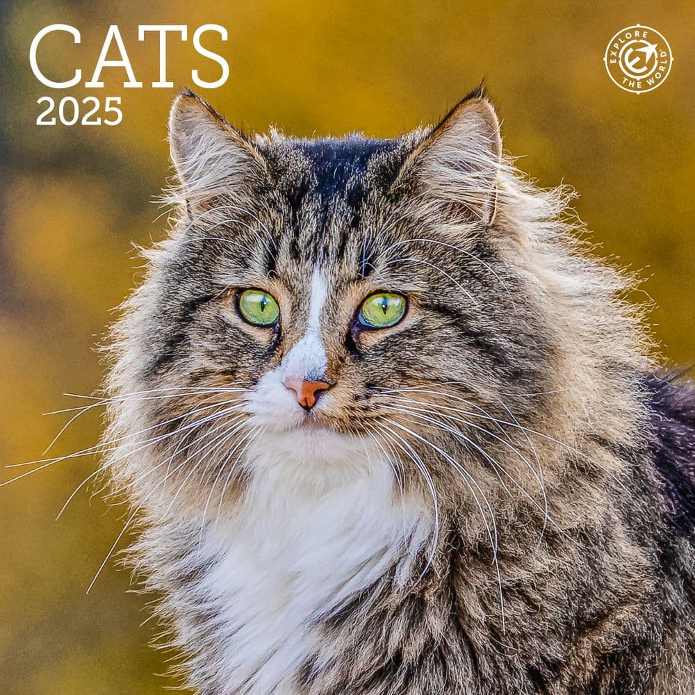 Cats 2025 Mini Wall Calendar_Main Image