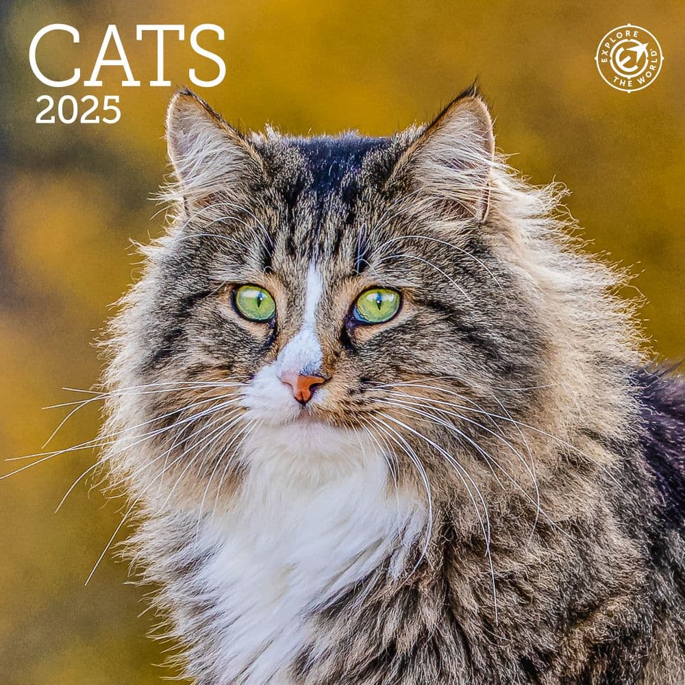 image Cats 2025 Mini Wall Calendar_Main Image